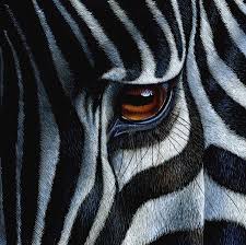 Artwork: #38 of 112 by Jurek Zamoyski \u0026middot; Previous Next View All. Zebra Painting - Zebra Fine Art Print - zebra-jurek-zamoyski