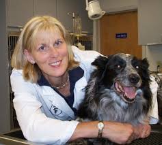 Dr. Anne Fessler: Dr. Fessler is the founding owner of Farmington. Veterinary Hospital. She attended Cornell University - Dr.%20Fessler