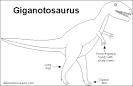 Giganotosaurus - Enchanted Learning Software