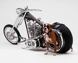 Big MOTORCYCLE MODIFICATION | Harley Davidson, Sexy Babe MOTORCYCLE