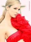 Shandi Finnessey's words