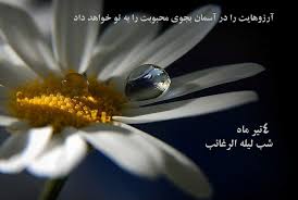 ني ني شكلك