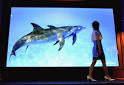 HowStuffWorks "How HDTV Works"