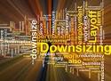 Divestment - strategy, organization, divestment strategy, model ...