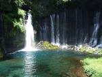 Koen in Japan: Shiraito watervallen