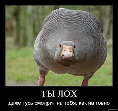 images?q=tbn:ANd9GcR3jg-0jI_sow5aJUWiKPzLHZAOUB3xxHq_U52psur4L6cv2ICrxWMORnUa