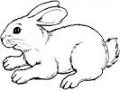 Rabbit coloring page