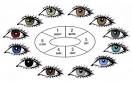 Human Eye Color Chart