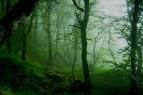 Marar  a    Blog Archive    poema de Rub  n Dario