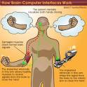 http://braincomputerinterfacetbc.yolasite.com/resources/brain-computer-interface-4.gif