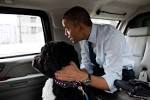 Obama Foodorama: President Obama Eats Dog Meat As A Boy ...
