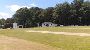 Image result for Yelverton Bohemians Cricket Club