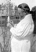 Carl Correns - Wikipedia, the free encyclopedia