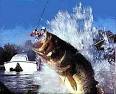 Bass Fishing Book     Intense Bass Fishing Tips