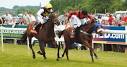 horse-racing-bath-racecourse.jpg