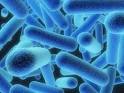 LEGIONNAIRES DISEASE | TREND