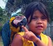 Noel Kempff Park in the East of Bolivia - noel-kempff-parrot_girl-e0717