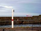 A Guiding Light - via Daymix