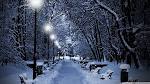 Fonds d��cran NEIGE : tous les wallpapers NEIGE
