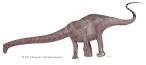 DIPLODOCIDAE | Dinosaurus blog