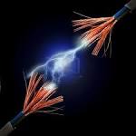 Electrical Licensing Pictures - 8848686-
