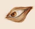 painting of eyes