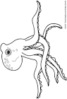 Octopus coloring page