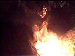 http://t2.gstatic.com/images?q=tbn:ANd9GcR60rxvJbzmyNFGw-3J2fS0SS83p1zM4BIEhjyJ0fw1aCEaaj0PJw
