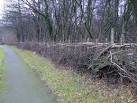 "Kidney Wood is an area of ancient semi-natural woodland on the southern - via Daymix