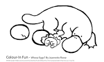 Platypus coloring page