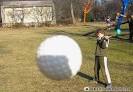 perfectly timed photos