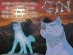 Gin - Ginga Nagareboshi Gin Wallpaper (3406340) - Fanpop