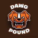 CLEVELAND BROWNS HD Images | World Sports