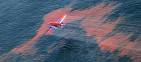 Deepwater Horizon oil spill