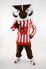 UW-Madison Experts Guide: Bucky Badger