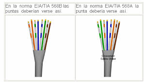 como ponchar un cable de red??