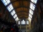 Natural History Museum, London - via Daymix