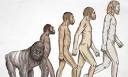 Jonathan Jones: Da Vinci prefigured Darwin on our close relation ...