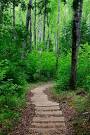 Hiking trails and maps on the Minnesota's Gunflint Trail