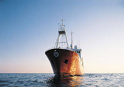 Shipping Efficeincy