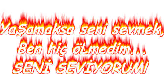 images?qtbnANd9GcR7hf47B4RoQQNpZvcDNYl68VH vFdMnaAXIKs2v3v4wp X8Y3Q