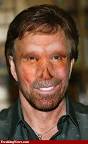 Pig Chuck Norris - chuck_norris