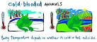 Kid's Corner - Warm Blooded and Cold Blooded