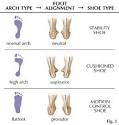 Finding Your Running Shoe: Matching foot type to shoe type