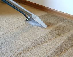  Tips For Acquiring the best Carpet Cleaner Rental Prices