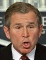 Bush Image End Evil Quotes: Funny and stupid quotes from President Bush Picture 7