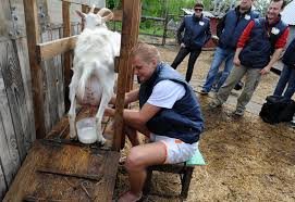 images?q=tbn:ANd9GcR8Pl5YkUkLZs4PCcXZjH8G6w3Bp7coCDKz6dVbwJ4kzT7zIfxs