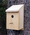 FREE WOODWORKING PLANS - BIRD HOUSE | Birdhouse Blueprints | Blue ...