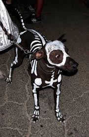 Best Body Painting