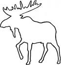 Buck coloring page
